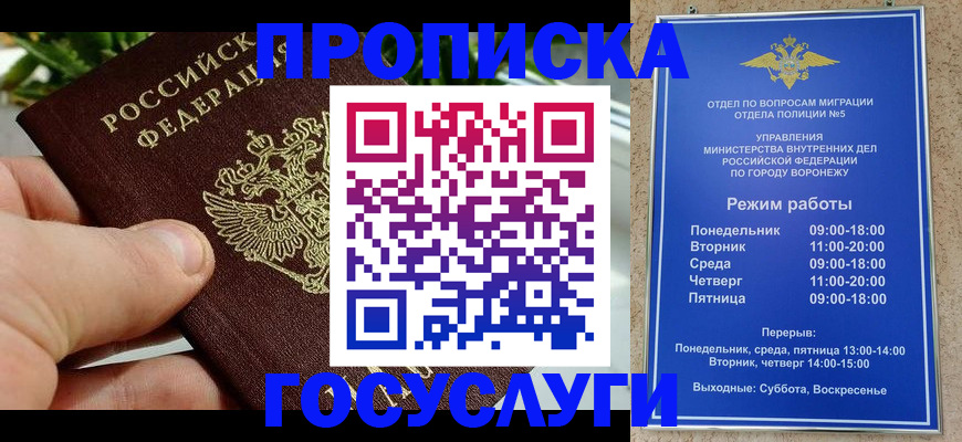 временная регистрация для школы в Кудрово